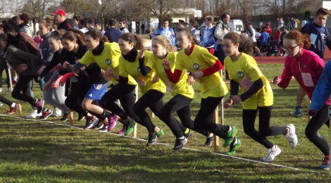 Corsa campestre - fase provinciale